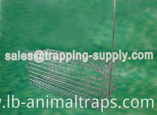 Small Single Rat Cage Trap